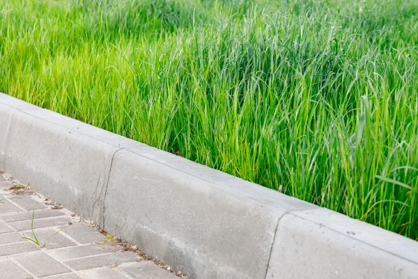 Cost of Curb Removal in Des Moines
